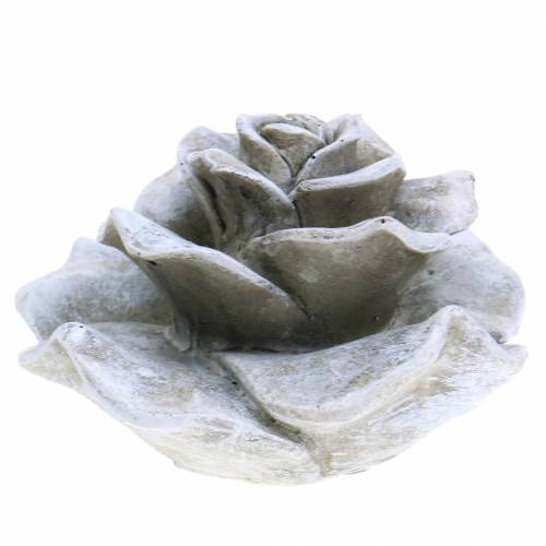 Floristik24 Rosa grigia decorativa Ø9,3 cm