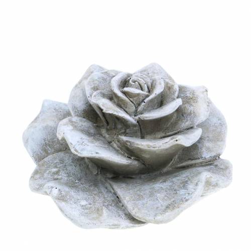 Floristik24 Rosa grigia decorativa Ø9,3 cm