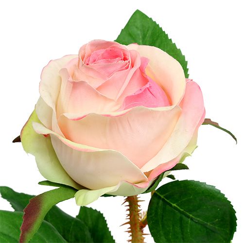 Floristik24 Rosa artificiale rosa crema Ø9cm L45cm 1 pezzo