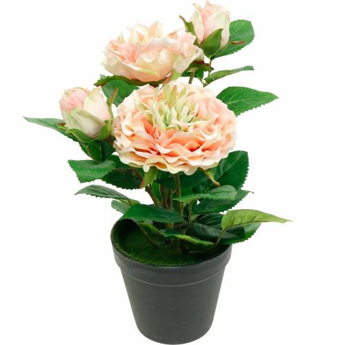 Prodotto Rosa decorativa in vaso, romantici fiori di seta, peonia rosa