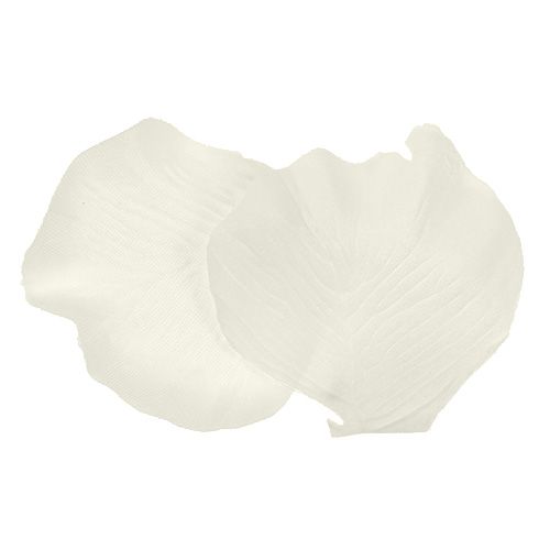 Floristik24 Crema di petali di rosa 4,5 cm 144 pezzi