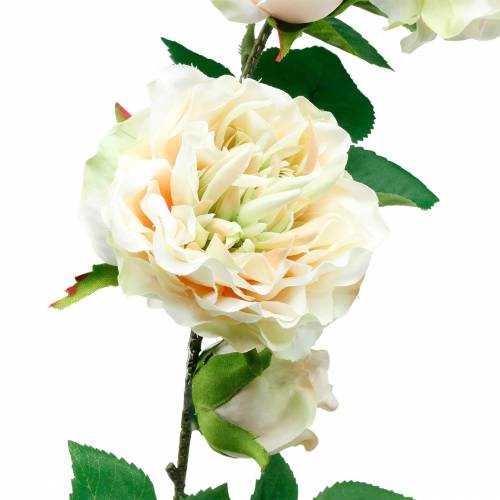 Floristik24 Romantico Rose Garland Fiore Di Seta Rosa Artificiale Vite 160cm
