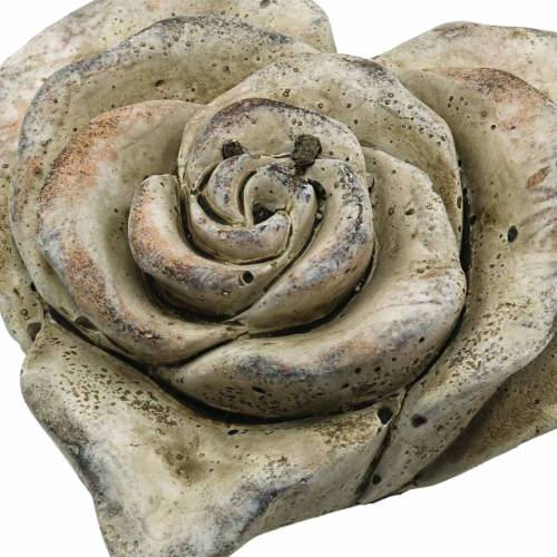 Floristik24 Cuore di rose in cemento grigio, albicocca Ø13 H5cm 3 pz