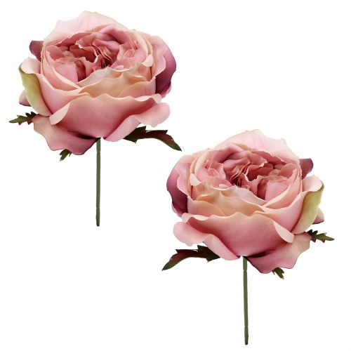 Floristik24 Crema testa alla rosa, rosa 17cm 4 pezzi