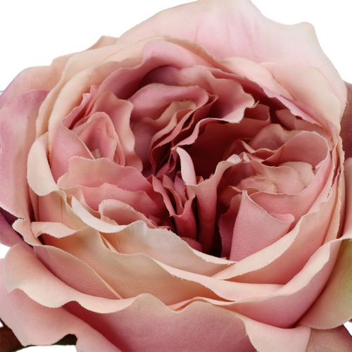 Floristik24 Crema testa alla rosa, rosa 17cm 4 pezzi
