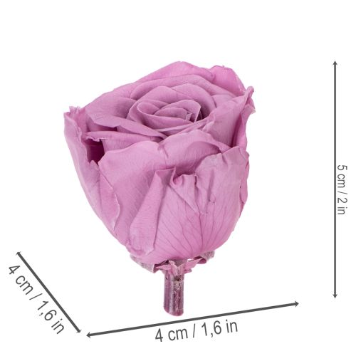 Prodotto Teste di rosa stabilizzate, regalo romantico, rose durature per occasioni speciali, 5 cm, 6 pezzi