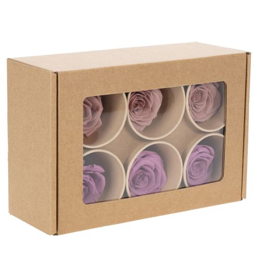 Prodotto Teste di rosa stabilizzate, regalo romantico, rose durature per occasioni speciali, 5 cm, 6 pezzi