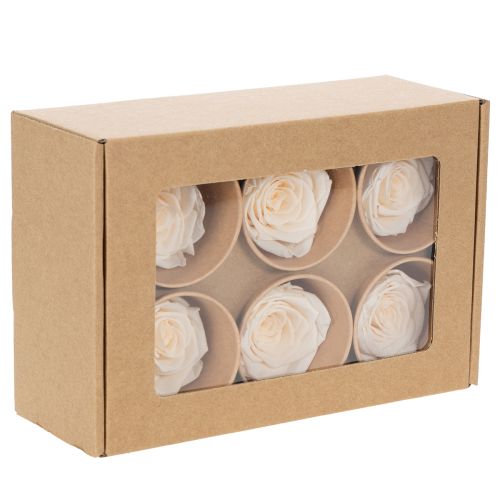 Prodotto Teste di rosa, fiori stabilizzati per eleganti composizioni floreali, 5 cm, 6 pezzi