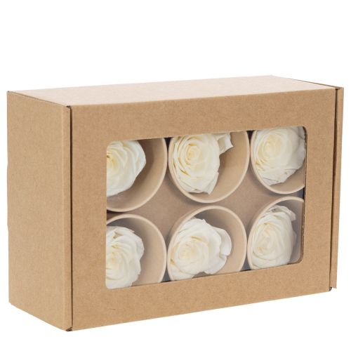 Prodotto Teste di rosa stabilizzate, decorazione da tavola resistente per un'atmosfera romantica, decorazione per matrimoni, 5 cm, 6 pezzi