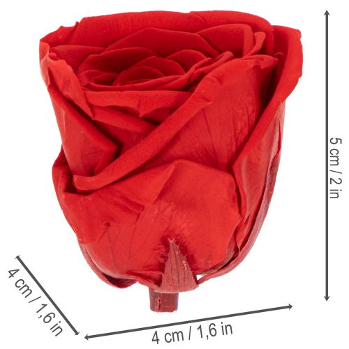 Prodotto Rose stabilizzate decorative e romantiche, ideali per spazi abitativi o matrimoni, 5 cm, 6 pezzi
