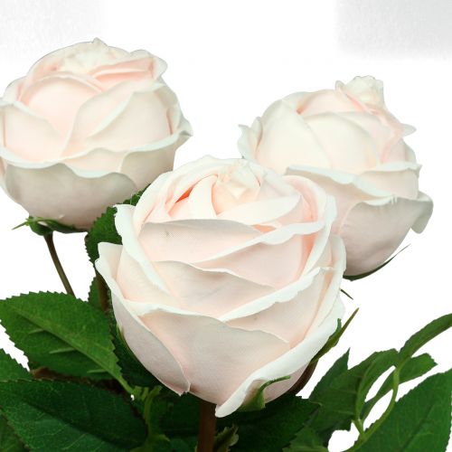 Floristik24 Mazzo di rose rosa tenue 65 cm 4 pz