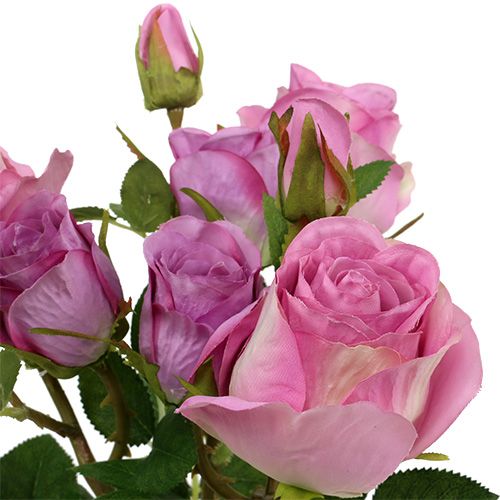 ROSE contadini ROSE fiore di seta ARTE Fiore Rosa Rosa Antico Crema 71 cm 180074 f7 