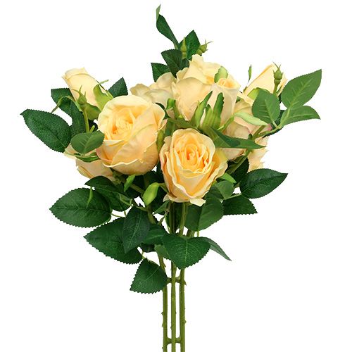 Crema con bouquet di rose L46cm