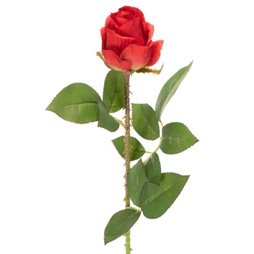 Ramo di rosa artificiale in seta, rosa rossa, 72 cm, 3 pezzi acquistare | Floristik24.it