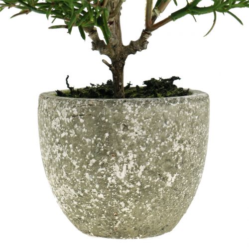 Floristik24 Cespuglio di rosmarino artificiale in un vaso di 23 cm