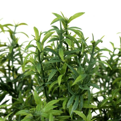 Floristik24 Ramo di rosmarino artificiale verde 35cm 3pz