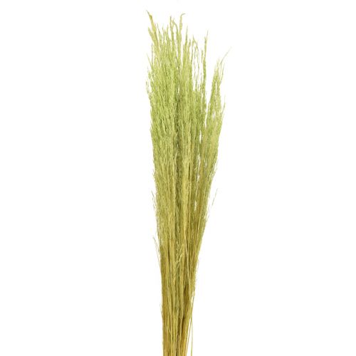 Prodotto Erba Piegata Agrostis Capillaris Erba Secca Verde 65 cm 80 g