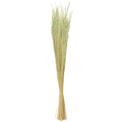 Prodotto Erba Piegata Agrostis Capillaris Erba Secca Verde 65 cm 80 g