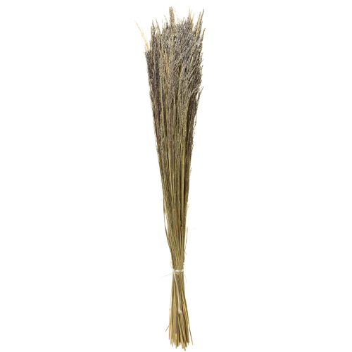 Floristik24 Erba Piegata Agrostis Capillaris Erba Secca Natura 60cm 80g