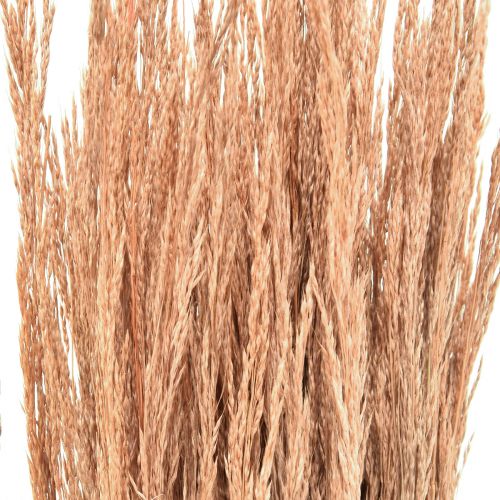 Prodotto Erba Piegata Rossa Agrostis Erba Secca Rosso Marrone 65 cm 80 g