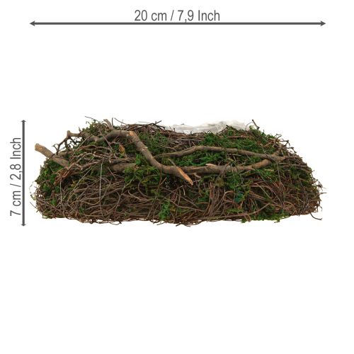 Prodotto Fioriera rotonda con muschio rampicante e lamina Ø20cm H7cm