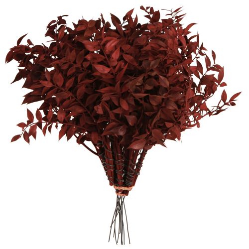 Prodotto Rami decorativi Ruscus Red essiccati sul filo 20 cm 1 mazzo