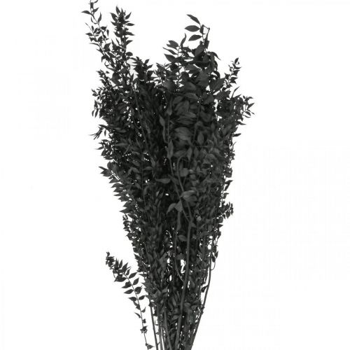 Floristik24 Rami di Ruscus rami decorativi fiori secchi neri 200g