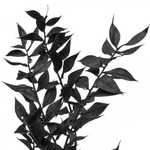 Floristik24 Rami di Ruscus rami decorativi fiori secchi neri 200g