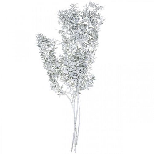 Floristik24 Rametti di Ruscus, pungitopo, Pianta secca Lavato bianco L58cm 80g