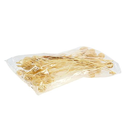 Prodotto Sabulosum II sbiancato 25 pz