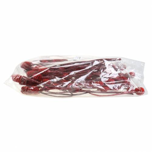 Prodotto Rami decorativi Sabulosum rosso satinato 4-6 25 pz