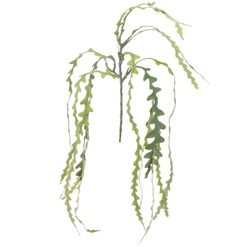 Floristik24 Cactus artificiale con foglie di sega Epiphyllum anguliger L68 cm 3 pz