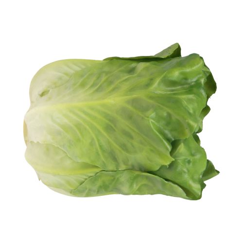 Floristik24 Testine di lattuga verdi decorative per insalata, 14 cm