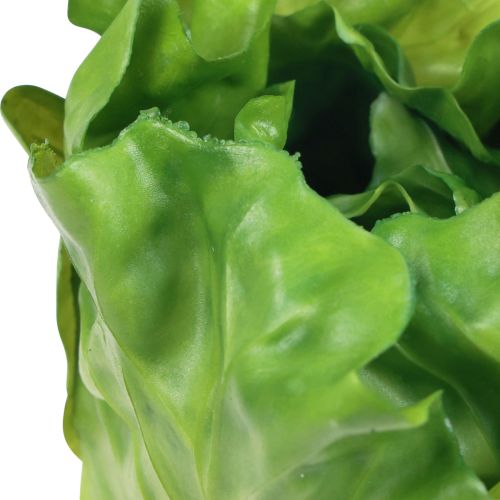Floristik24 Testine di lattuga verdi decorative per insalata, 14 cm