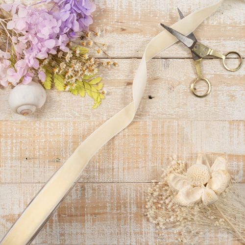Nastro regalo, elegante nastro di velluto per regali e fiori, 20 mm, 10 m | Floristik24.it