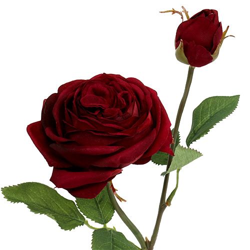 Floristik24 Velluto rosa rosso con bocciolo Ø9cm L38cm