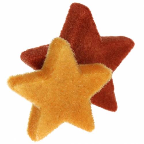 Floristik24 Decorazioni sparse per stelle mix curry floccato, rooibos 4 cm/5 cm 40 pz