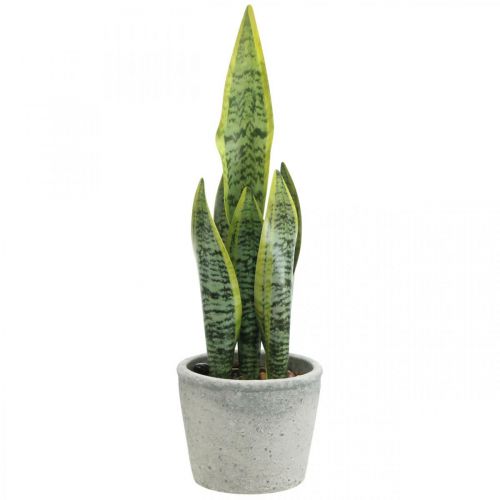 Floristik24 Fiocco di canapa artificiale, pianta verde in vaso, Sansevieria H39cm Ø12cm