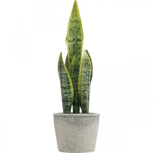 Floristik24 Fiocco di canapa artificiale, pianta verde in vaso, Sansevieria H39cm Ø12cm