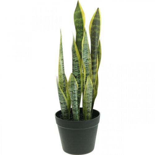 Floristik24 Sansevieria, fiore artificiale, fiocco di canapa in vaso H50cm Ø14cm