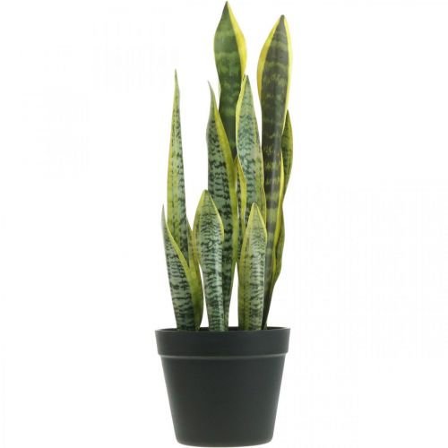 Floristik24 Sansevieria, fiore artificiale, fiocco di canapa in vaso H50cm Ø14cm