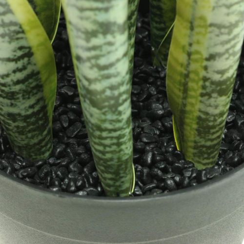 Prodotto Sansevieria, fiore artificiale, fiocco di canapa in vaso H50cm Ø14cm