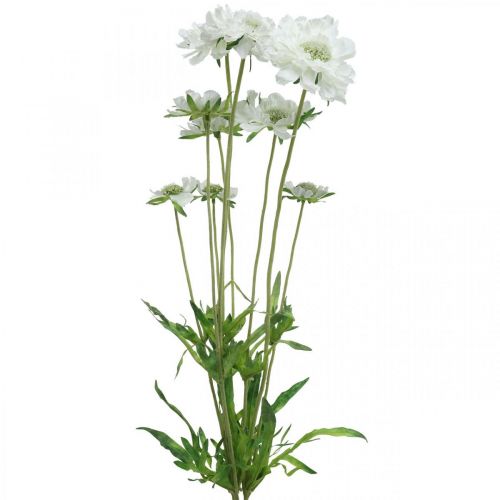 Floristik24 Scabiose fiore artificiale bianco fiore da giardino H64cm mazzo con 3 pezzi