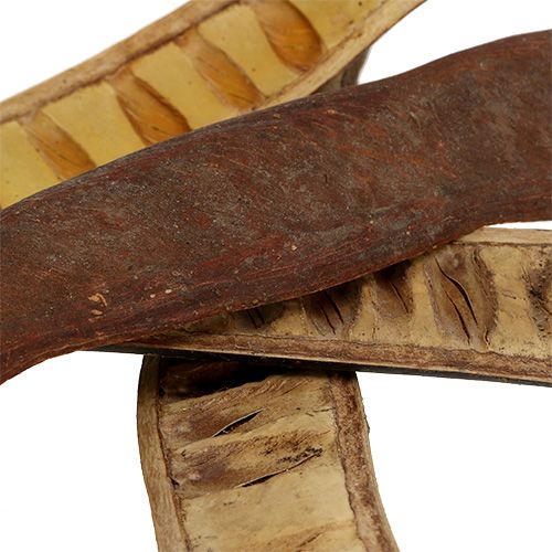 Prodotto Cialda Scaletta naturale 25cm - 50cm 25 pz