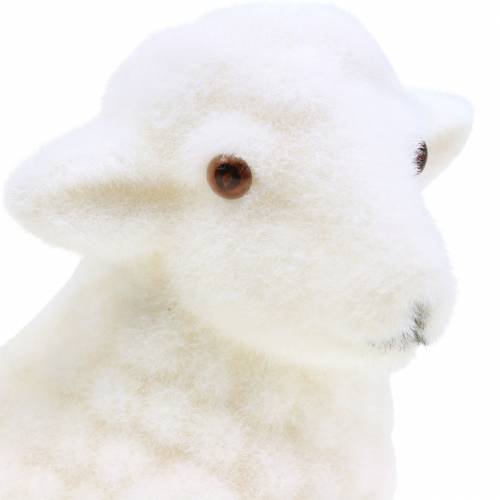 Floristik24 Agnello pasquale per decorazioni sdraiato floccato bianco A15cm