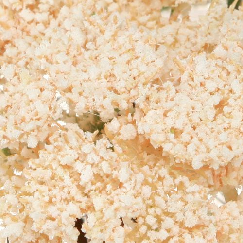 Prodotto Achillea artificiale in crema Fiori artificiali Achillea 30 cm 6 pezzi