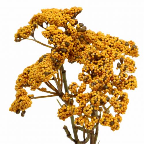 Floristik24 Achillea artificiale giallo 74 cm 3 pezzi