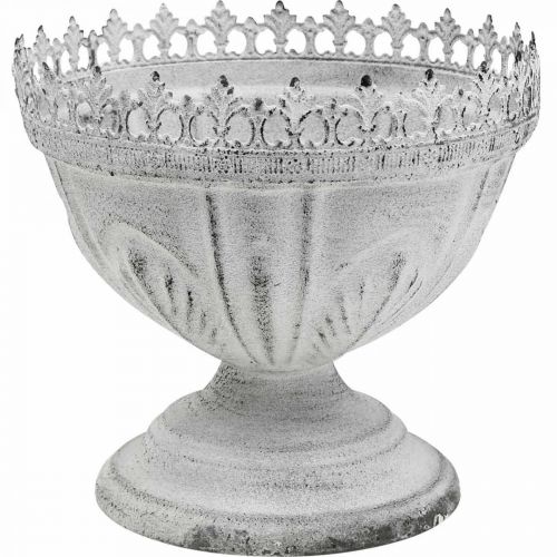 Floristik24 Trofeo decorativo Ciotola decorativa in metallo bianco con bordo a corona H15 cm