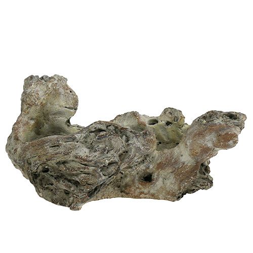 Floristik24 Ciotola in radica di legno 25,5 cm x 14 cm H11,5 cm