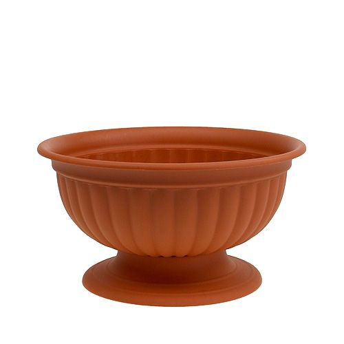 Floristik24 Ciotola con piede in terracotta Ø26cm